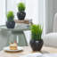 3 - Piece Artificial Onion Grass in Black Pot Set
