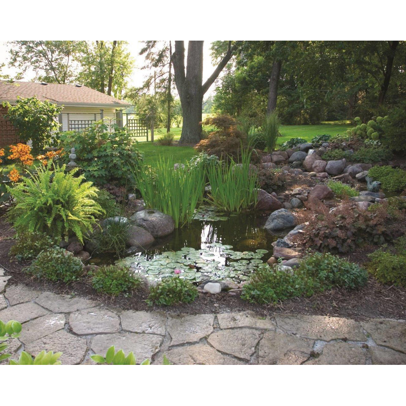 6' x 8' Black DIY Backyard Pond Kit with Pump