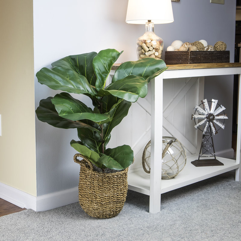 36'' Faux Fiddle Leaf Fig Plant in Wicker/Rattan Basket