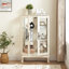 Vitrine 2 portes avec portes en verre trempé, armoires de terrasse avec panneau arrière en miroir et tablettes réglables, vitrine éclairée pour la maison, ampoule de bureau incluse-200134660