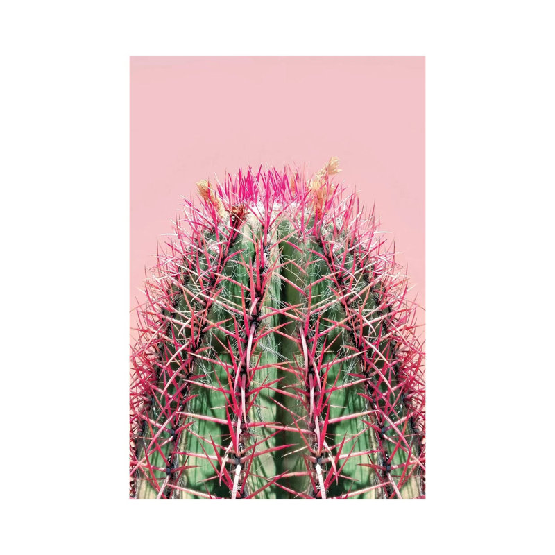 Cactus On Pink by Emanuela Carratoni - Wrapped Canvas Print, 20.32 cm H x 30.48 cm W
