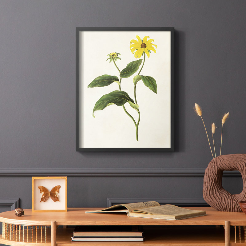 «Flowers of the Seasons», reproduction encadrée en bois massif, H 20 po x l 16 po, Noir