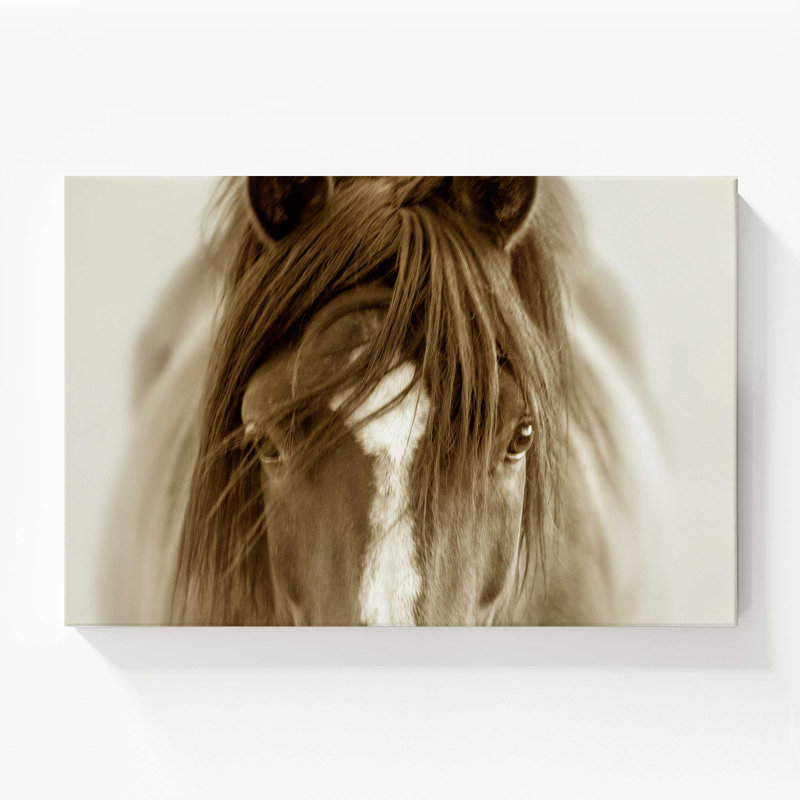 Majestic Wonder, grande impression sur toile, H 36 po x l 54 po