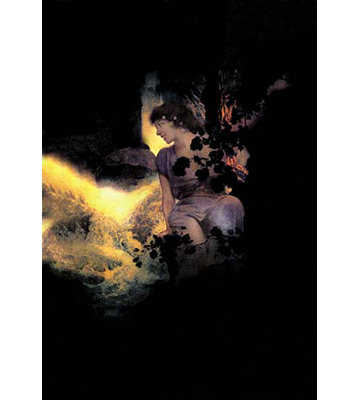 " Deep Woods, Moonlight "