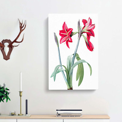 Brazilian Amaryllis Flowers by Pierre-Joseph Redoute - Wrapped Canvas Painting
