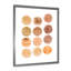 Cercle de douze nuances de brun - Impression sur toile-67465434-67465457