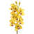 Yellow is out of stock