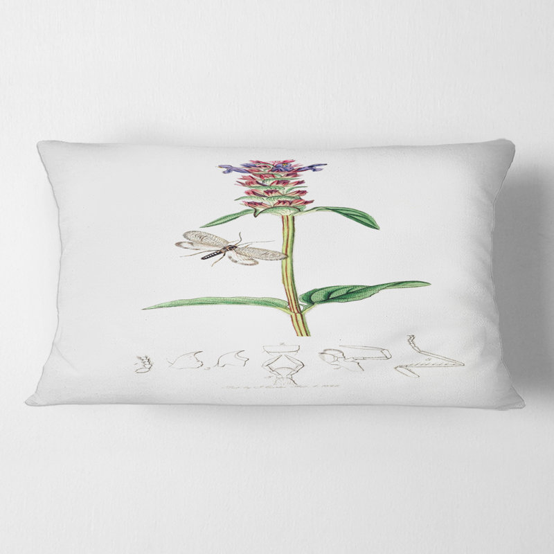Housse et insert de coussin rectangulaire Insectes et plantes II