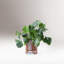 Riviera Ceramic / Porcelain Table Vase-428184656
