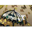 Parvez Taj - Wrapped Canvas Print-16674005