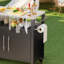 Chariot de barbecue extérieur avec rangement
