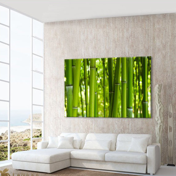 Bamboo - Wrapped Canvas Print, 70cm H x 100cm W x 4cm D