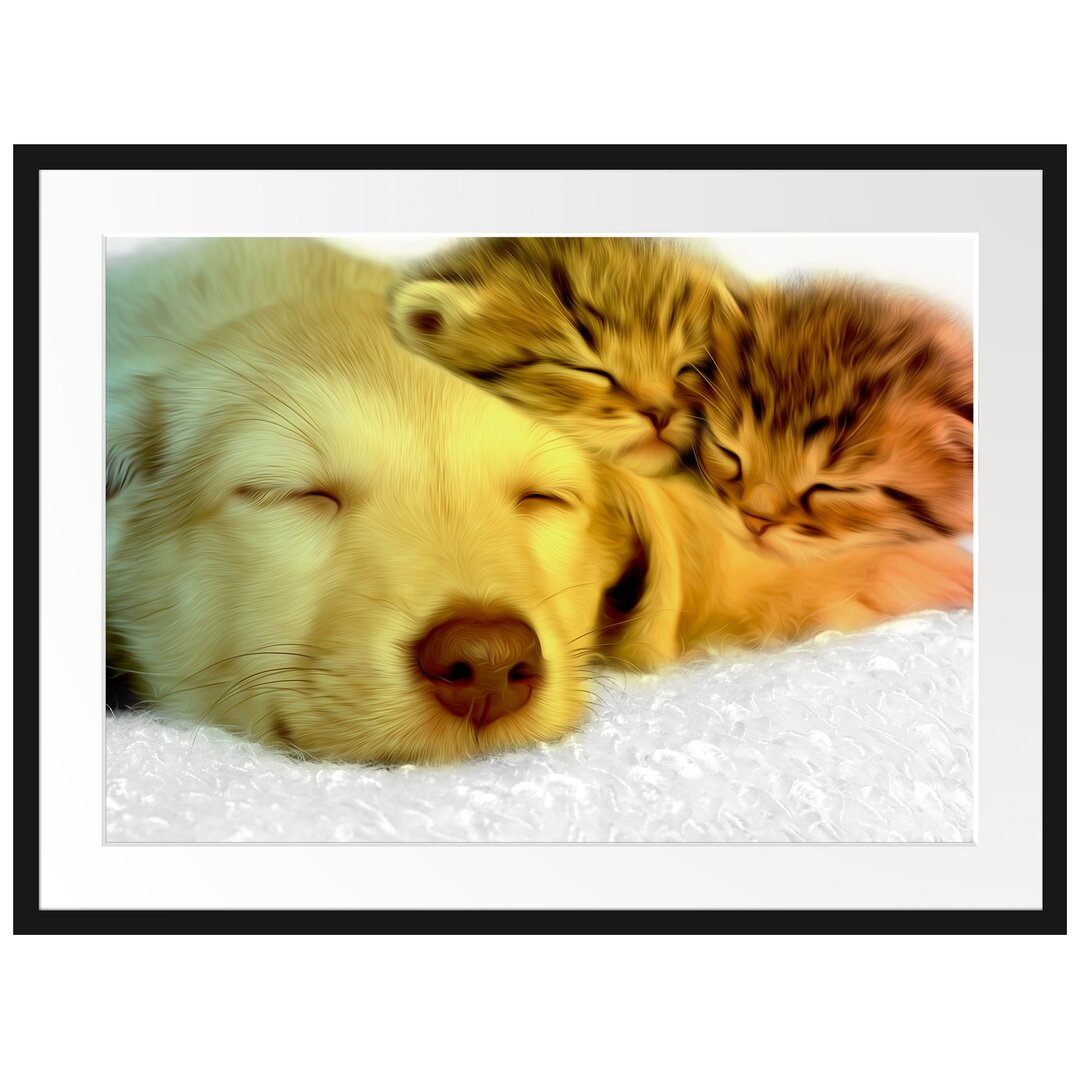 Gerahmtes Poster Welpe und Katze