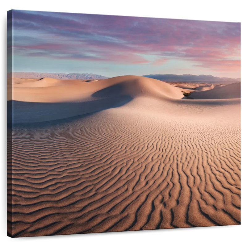 Alvord Mesquite Flat Dunes, 30" H x 30" W
