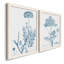 Antique Botanical In Blue V - ensemble de 2 peintures sur toile encadrées-1586218843-1586218854