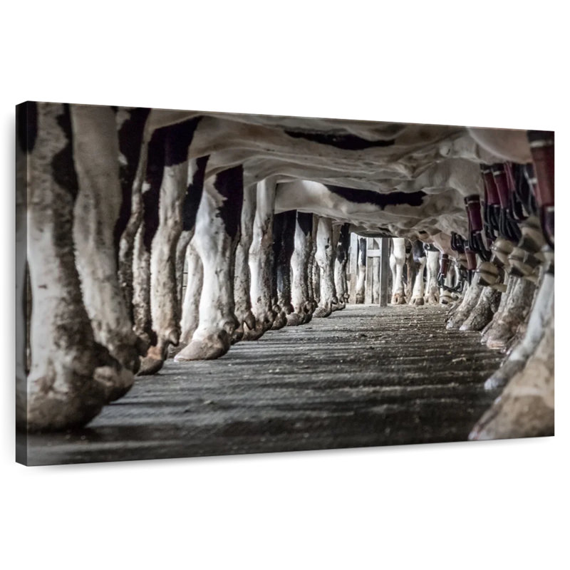 Brampt Milking Cows, 32" H x 48" W