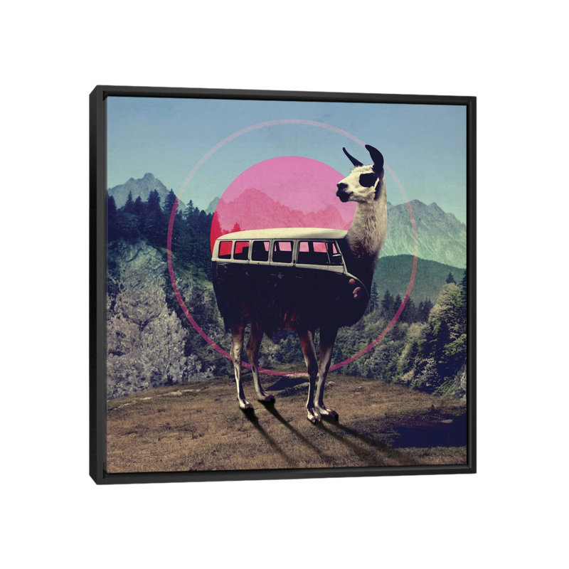 «Llama», impression sur toile tendue, H 12 po x l 12 po x P 1,5 po, Toile avec cadre noir, Pas de tapis