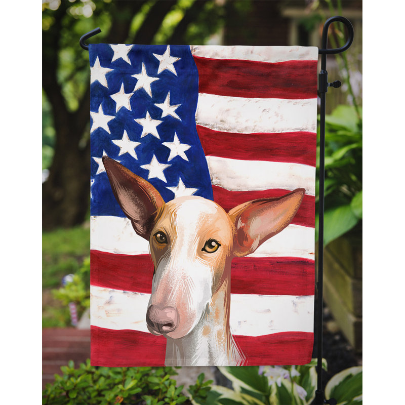 Polyester à 2 côtés 15 x 11 po drapeau de jardin, Chien de garenne des Canaries