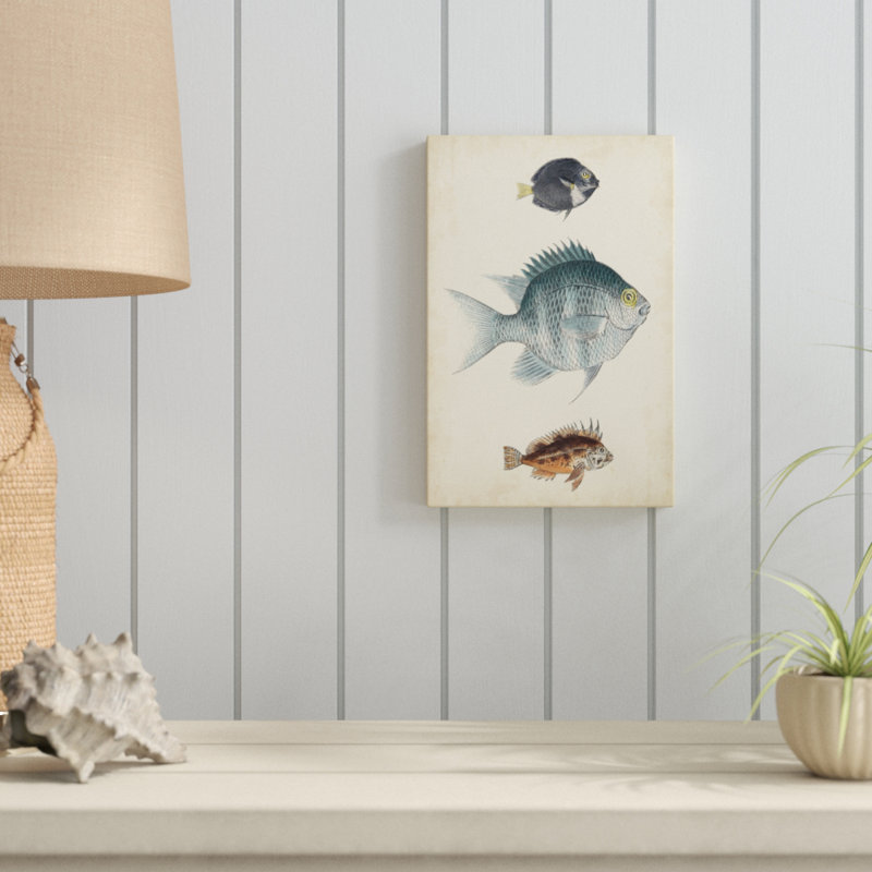 «Antique Fish Species III», peinture sur toile, H 12 po x l 8 po