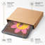 Cheerful Roaring Flower Cartoon - Framed Print-656019951-656019955