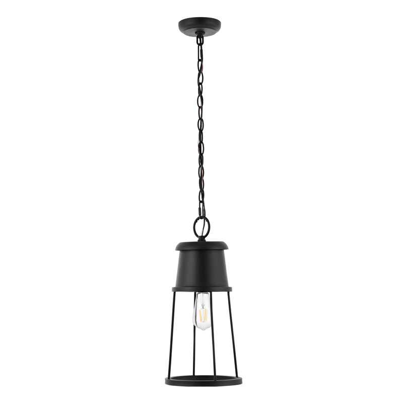 Luminaire suspendu d'extérieur noir 1 lumière H 17,5 po Shizu