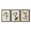 Pl. 160 Carolina Titmouse - Ensemble de 3 peintures sur toile encadrées-476429139-476429148