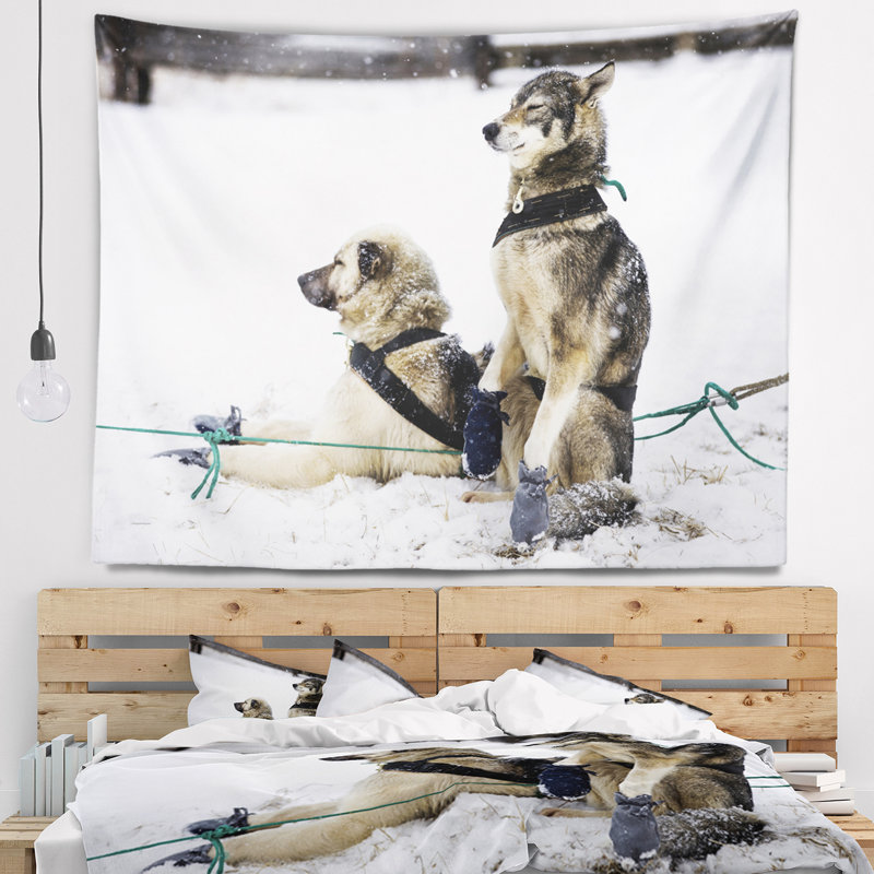 Tapisserie relaxante pour grands chiens de traîneau, H 32 po x l 39 po