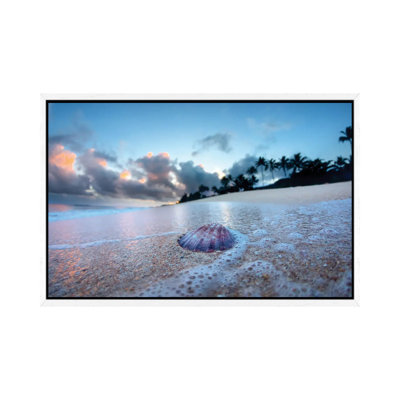 Shell Foam by Sean Davey - Gallery-Wrapped Canvas Giclée on Canvas