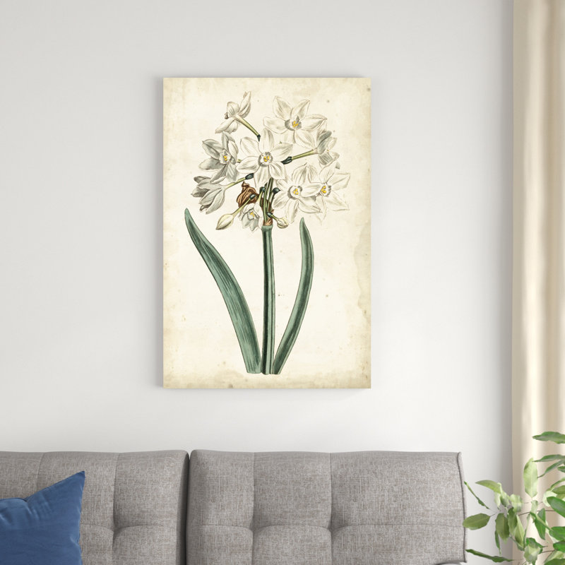 Curtis Narcissus II, H 36 po x l 24 po x P 1,25 po