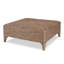 Nala Cocktail Table