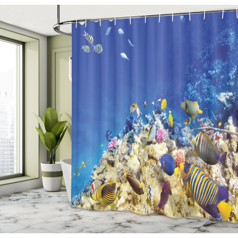 Ensemble de rideau de douche + crochets Ocean, H 69 po x l 105 po