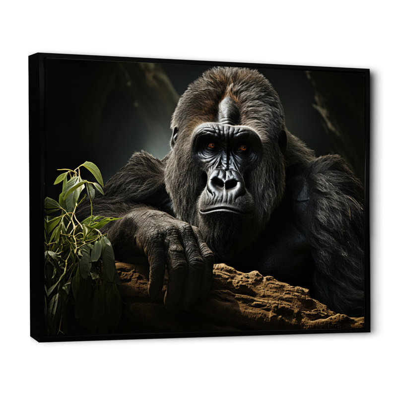 «Afrique Gorillas Serenity» sur impression sur toile, Cadre flottant noir, H 24 po x l 32 po x P 1 po