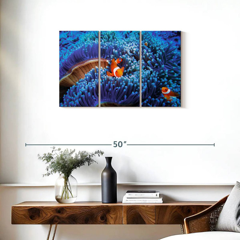 Aletra Bali Sea Anemone Clownfish, 20" H x 33" W