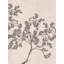 Delicate Olive Branches by Josie George — Botanical Wall Art-1884019018-1884019010-1884019033