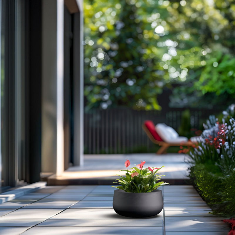 Pot à fleurs en béton Renfrew, H 5,91 po x l 11,81 po x P 11,81 po, Noir anthracite