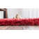 Red Area Rug