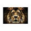 The Lion by SD Smart - Wrapped Canvas Print-49988006