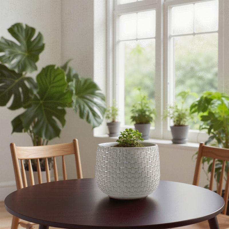 Ensemble de 3 pots de fleurs décoratifs en céramique pour l'intérieur et l'extérieur avec trou de drainage 9 po