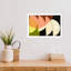 «Four Semi Moons I» par Gilpin, impression sur bois encadrée-941215611-941215618