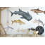 Kids Room Wall Decals – Peel & Stick Shark Set, Ocean Theme-679715376