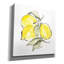 «Kost Lemons III» sur toile par Chris Paschke-1191869204