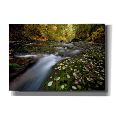 " Rushing Best " by Thomas Haney