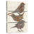 Brampt Three Little Birds Flowers-108660650