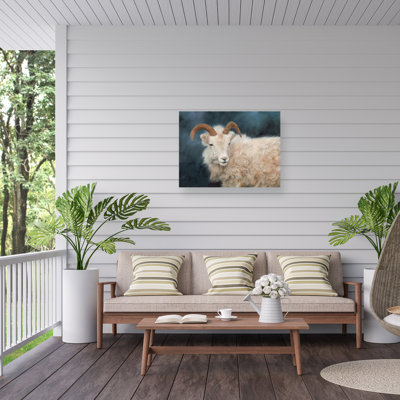Toile d'extérieur David Stribble Mountain Goat 2