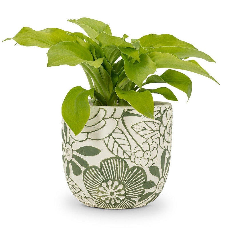 Pot de fleurs en pierre Josephus, H 5,5 po x l 5,5 po x P 5,5 po