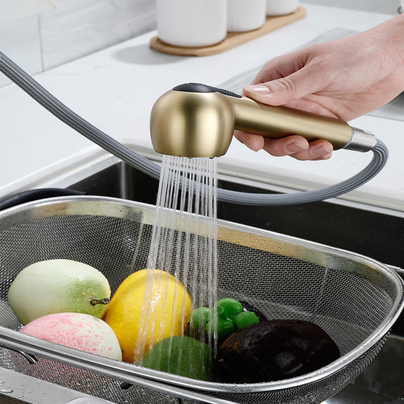 Robinet de cuisine à poignée simple avec douchette latérale Werfy, Or brossé