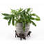 Perseus Weather Resistant Planter Feet