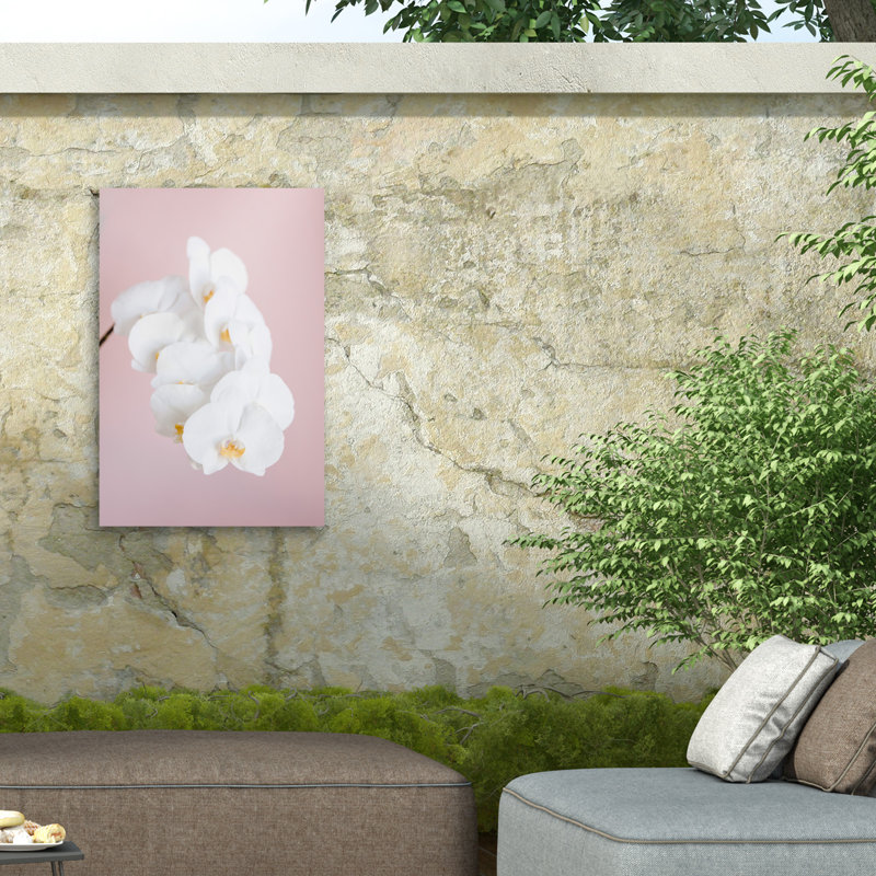 Orchidée bolognaise 2 sur impression sur toile, H 32 po x l 22 po