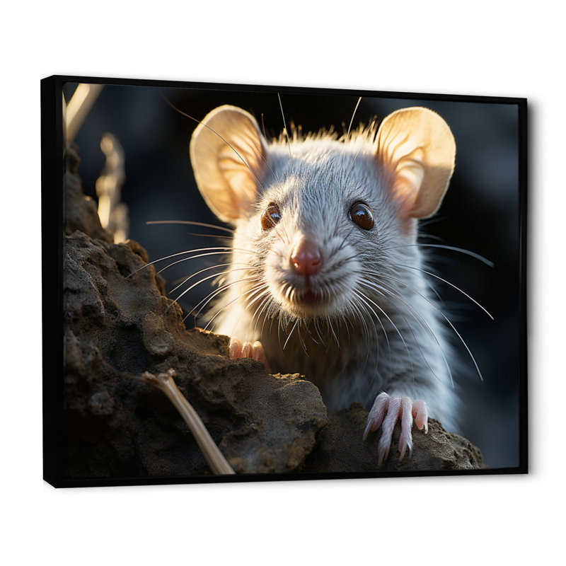 Portrait d'un mignon rongeur sur toile, Cadre flottant noir, H 12 po x l 20 po x P 1 po
