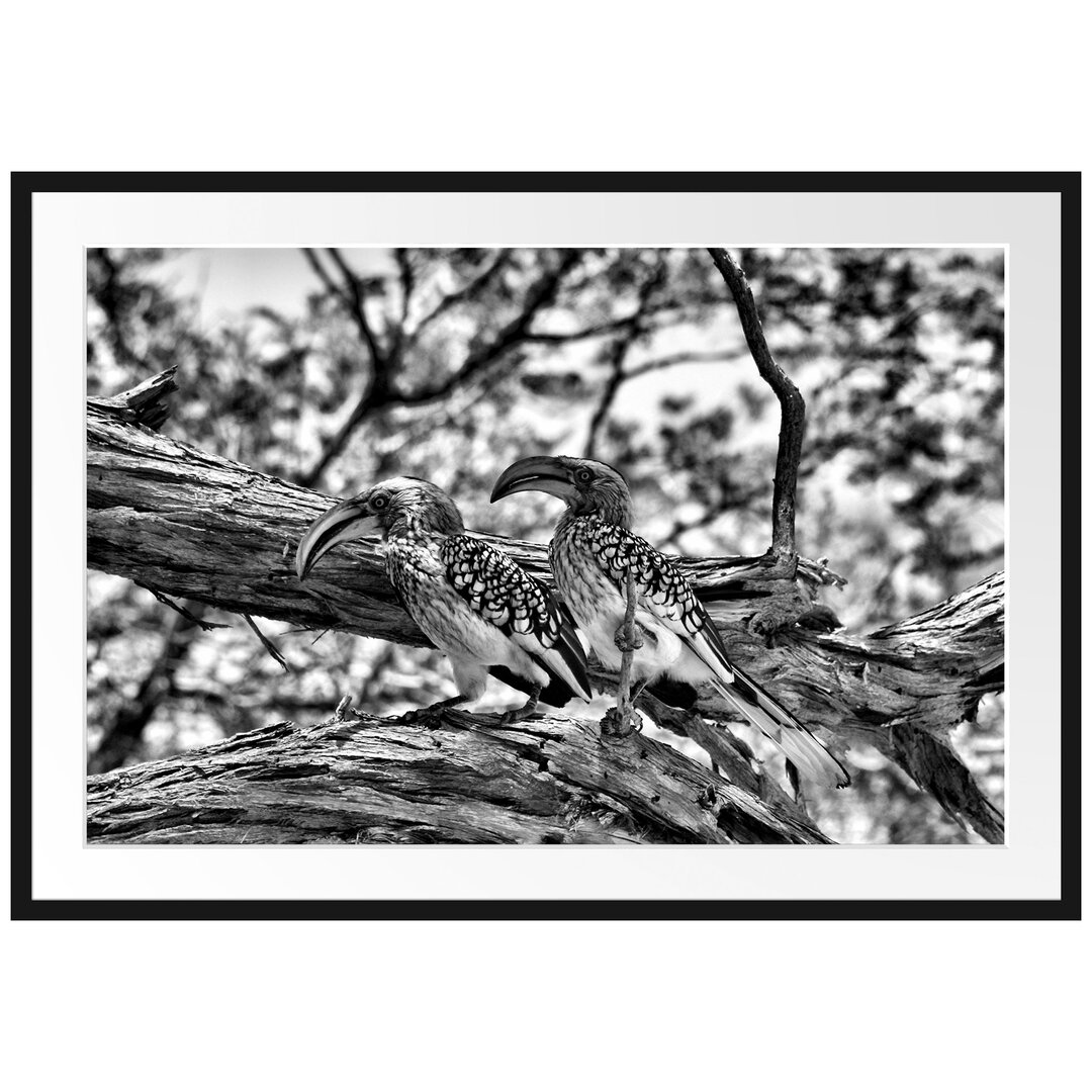 Gerahmtes Poster Exotische Vögel auf einem Baum